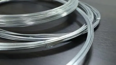 Manufacturer Price Low Carbon 2.0 mm Galvanized Steel Wire for Welded Wire Mesh Fence